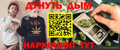 индика Кинель