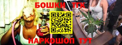 индика Кинель