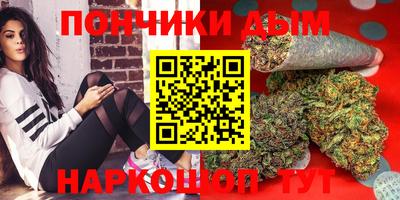 индика Кинель